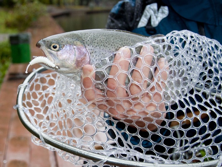 Подсачек Lucky John Area Trout Game 115см - черный / красный