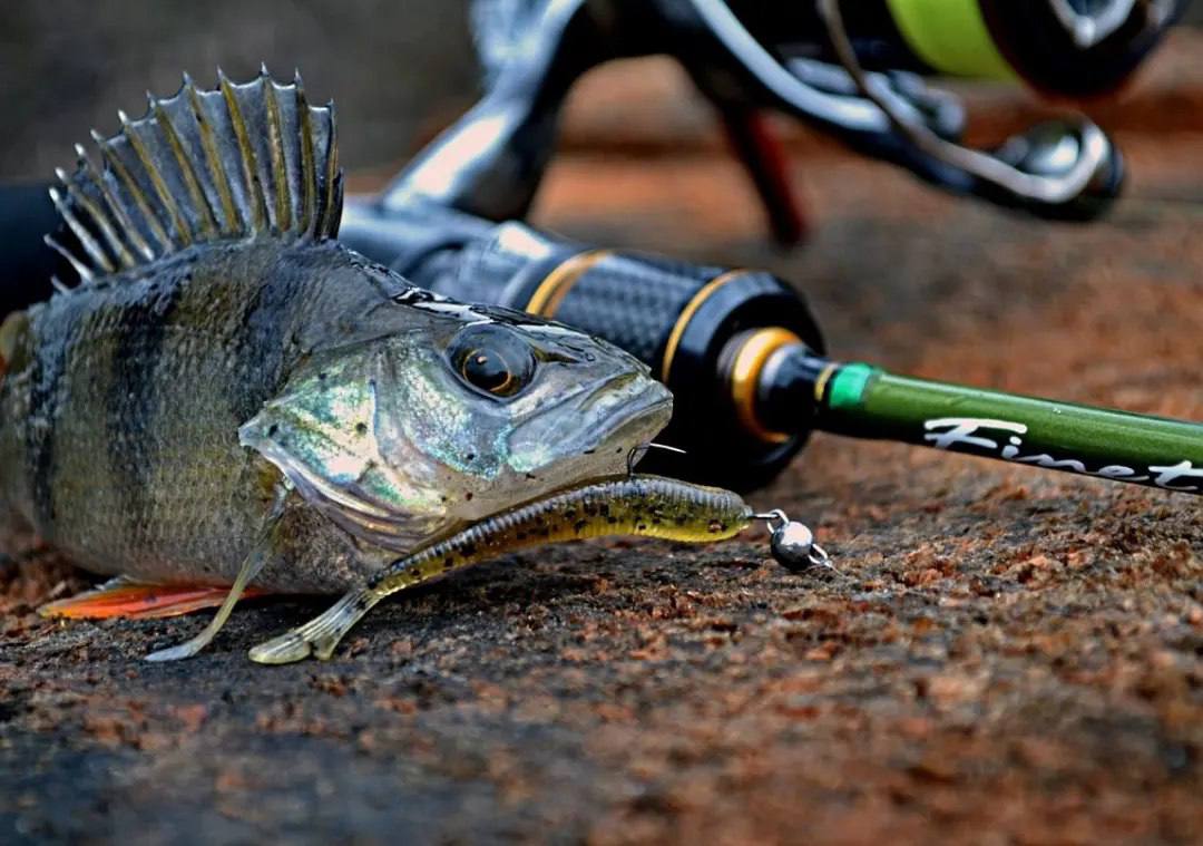 Главный баннер страницы