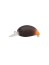 Воблер Zipbaits Baby Hickory SR 25SS - 25мм - 2,6гр - 139