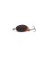 Воблер Zipbaits Baby Hickory SR 25SS - 25мм - 2,6гр - 139