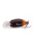 Воблер Zipbaits Baby Hickory SR 25SS - 25мм - 2,6гр - 139