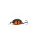 Воблер Zipbaits Baby Hickory SR 25SS - 25мм - 2,6гр - 568