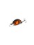Воблер Zipbaits Baby Hickory SR 25SS - 25мм - 2,6гр - 568