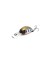Воблер Zipbaits Baby Hickory SR 25SS - 25мм - 2,6гр - 316