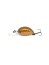 Воблер Zipbaits Baby Hickory SR 25SS - 25мм - 2,6гр - 029