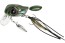 Воблер Jackall Micro Tappy 54F - 54мм - 4,8гр - UL Tamamushi