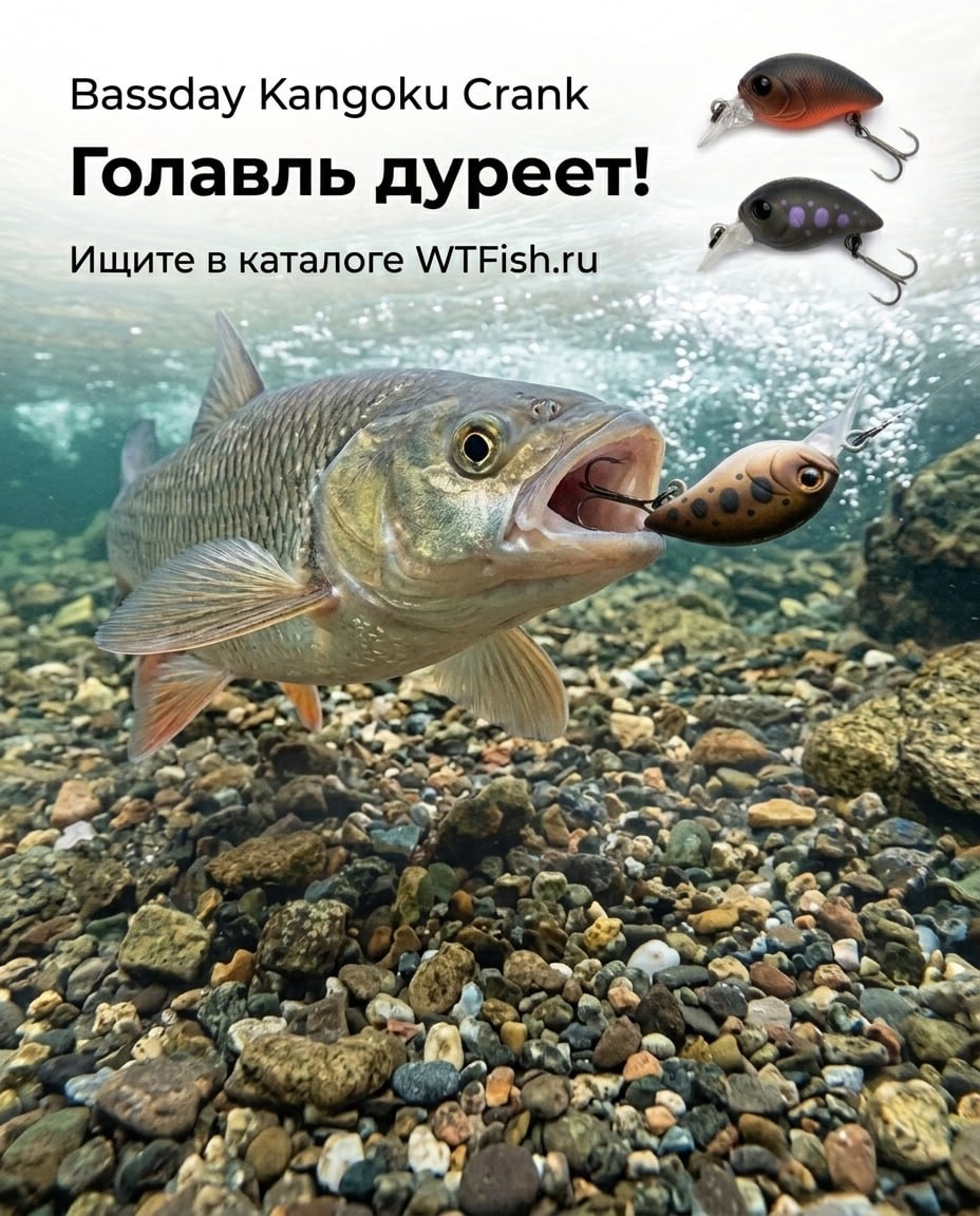 Главный баннер страницы
