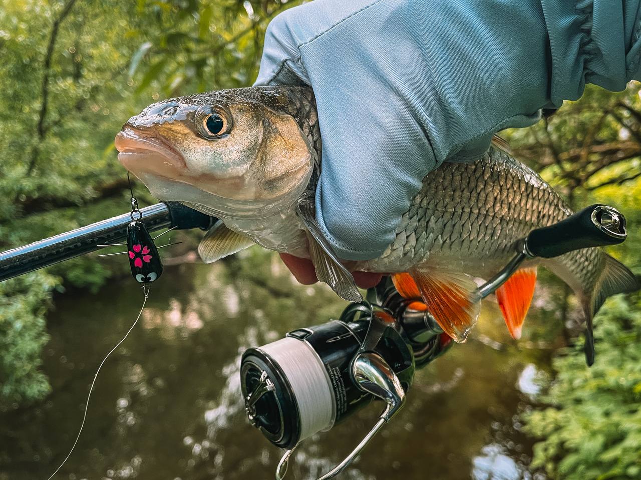 Главный баннер страницы