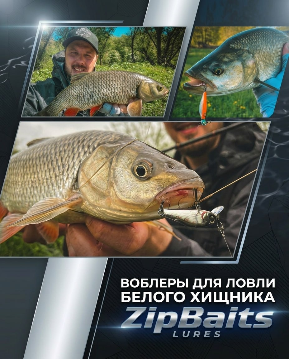 Главный баннер страницы