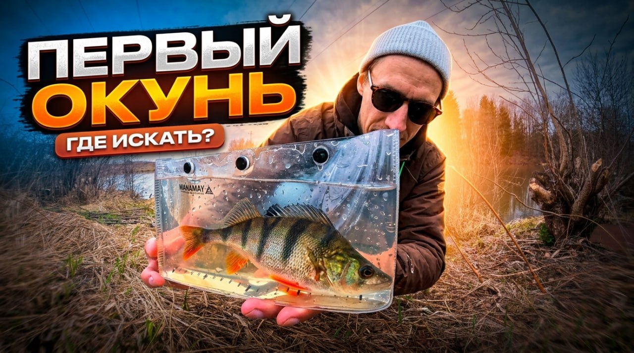 Главный баннер страницы