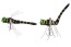 Воблер Daiwa Drown Dragonfly 72F - 72мм - 2,8гр - oni yanma