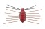 Силиконовая приманка Jackall Need Bug 28мм - ezo cicada
