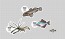 Наклейка Rooster Gear Market Sticker (мульти) арт: RGM-STICKER