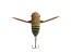 Воблер Jackall Suisen 43F - SSR - 43мм - 5гр - BG oyster mushi