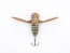 Воблер Jackall Suisen 43F - SSR - 43мм - 5гр - BG oyster mushi