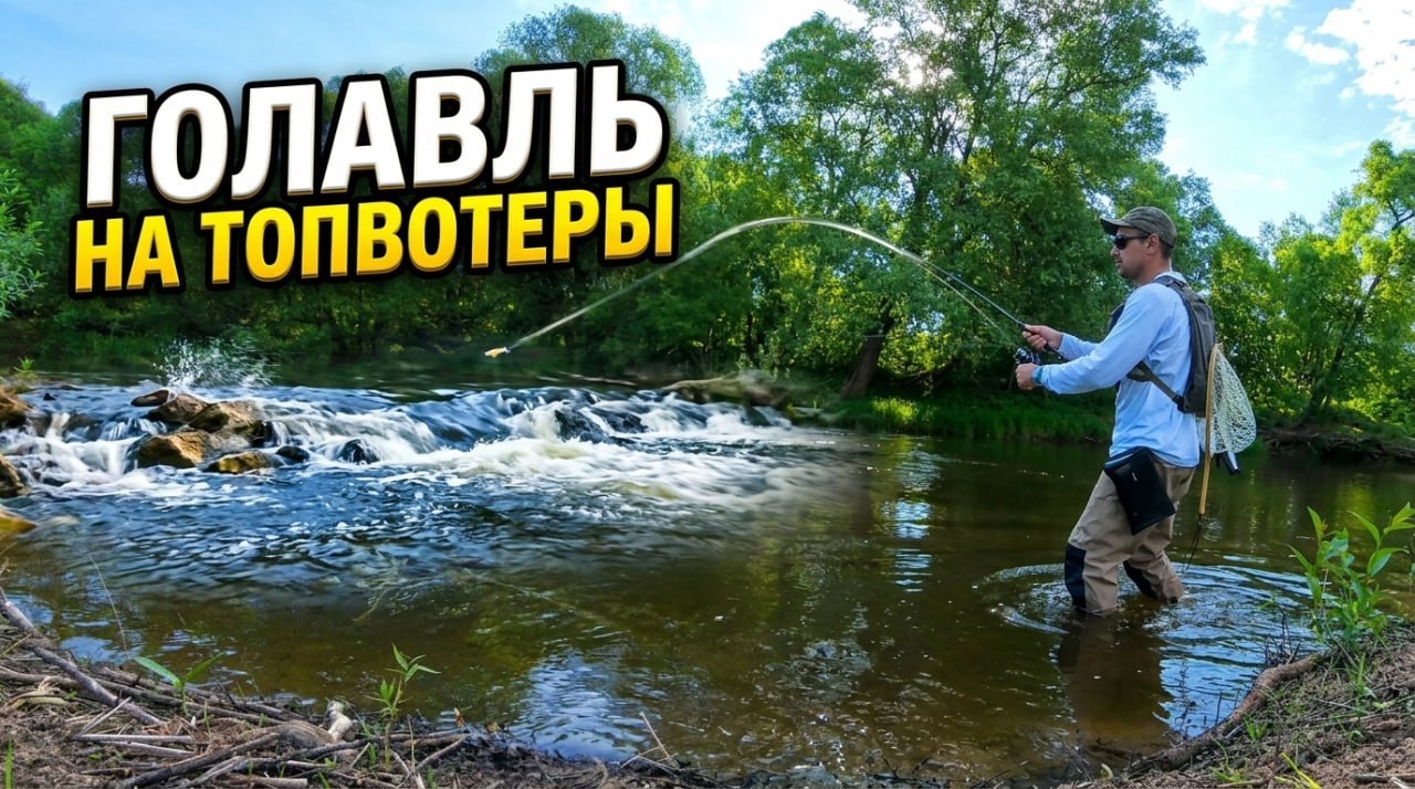 Главный баннер страницы