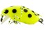 Воблер Jackall Chubby Bug 35F - 35мм - 3,7гр - mat chart lady bird