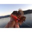 Силиконовая приманка Marukyu Power Crab коричневый 0,6in - 15мм - коричневый