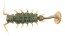 Силиконовая приманка Lucky John Pro Series Alien Bug 2,5in - 63мм - 085