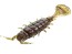 Силиконовая приманка Lucky John Pro Series Alien Bug PA03 1,5in - 38мм - PA03