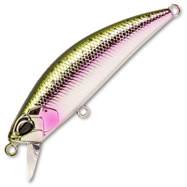 Воблер DUO Spearhead Ryuki 50S #MCC4036 - 50мм - 4гр - Rainbow Trout Takumi