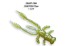Силиконовая приманка CF Crayfish 1 olive 3in - 75мм - 1 olive