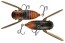 Воблер Jackall Suisen 43F - SSR - 43мм - 5гр - lake nojiri spring cicada