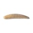 Силиконовая приманка Boroda Baits Salo плавающая 1,2in - 30мм - Капучино
