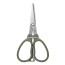 Ножницы Daiichiseiko MC Scissors 25 см - зеленый